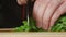 CLOSE UP: Cook cuts a parsley on a cutting board in a kitchen