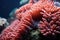 close-up of coral polyps on artificial structure