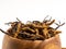 Close up Cordycep sinensis CHONG CAO or mushroom cordyceps on Wooden bowl on isolated background. Medicinal properties in the tr