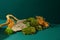 Close-up of cordyceps and green moss clinging to rocks with tree roots on a dark green background. Traditional medicine theme.