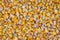 Close up of corn grains. Whole background.