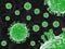 Close up Coronavirus 2019-nCov concept. A group of Green bacterial intruder cells causing sickness and disease to the human body.