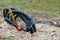 Close up of corrugated black drain pipe lays on the ground.