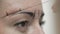 Close-Up Cosmetician Draws Lines Threads Around Client Eyebrows