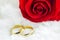 Close up of couple golden rings with red rose flower