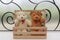 Close up - Couple teddy bears in wood basket.