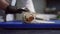 Close-up of courageous male hands carefully unfolding the finished sushi before serving