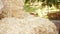 Close-up of a cowboy hat on a haystack on a sunny day. Woman`s hand taking a hat