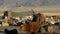 Close up from Cows, sheep and goats in front of a Yurt (Ger) from a Mongolian Nomads family in the morning