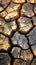 Close Up of Cracked Desert Soil. Generative AI