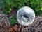 Close up of crackle glass solar led spotlight in the garden. Ene