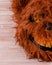 Close up of crazy Killer Bear Mask on wooden background