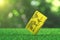 Close up credit bank black card on vibrant spring green fresh golf grass, sunshine lawn. Field or finance concept design