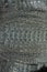 Close up crocodile skin  texture, crocodile skin pattern