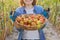 Close-up crop of ripe farm organic red tomatoes in basket in hands of woman