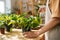 Close-up cropped shot of unrecognizable female florist in apron spraying water on houseplants in flowerpots by sprayer.