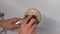 Close-up cropped shot of unrecognizable housewife cleaning shower head in bathroom over bathtub using sponge and soapy