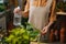 Close-up cropped shot of unrecognizable young woman florist in apron spraying water on houseplants in flowerpots by