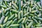 Close-up of cucumber on display in grocery store