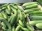 Close up cucumber, sell in the food market