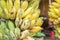 Close up cultivated bananas or Pisang Awak Bananas or Kluai Namwa Musa sapientum Linn Musa ABB CV.Kluai Namwa