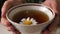 Close-up of a cup with fresh chamomile tea in female hands. Healing infusion with fresh chamomile flower for colds and coughs