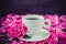 Close up cup of freshly brewed coffee and pink peony flower on the white saucer on black background with petals. Good morning conc