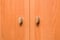 Close-up cupboard wood door, cabinet in kitchen