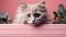 Close-up of Curious Cat Peeking with Intense Eyes GenerativeAI