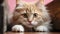 Close-up of Curious Cat Peeking with Intense Eyes GenerativeAI