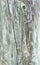 Close up of cut and weathered tree logs, wood, textures, background, outdoor tree stump in a park playground.