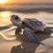 Close-up cute baby turtle on the beach at sunrise