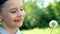 close-up of a cute Caucasian boy holding a dandelion in front of him, a child admiring a flower