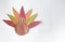 Close Up Cute and Colorful Thanksgiving Turkey Paper Craft for Kids Isolated with Copyspace