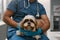 Close-up of cute fluffy yorkshire terrier held by professional veterinarian