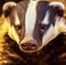 Close up of cute honey badger over black background, created using generative ai technology