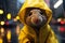 Close up of cute mouse with yellow raincoat standing in street during rain