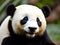 close up cute panda eating bamboo, AI Generated