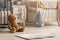 Close-up of a cute teddy bear and a gray raindrop pillow on the floor of a scandi bedroom interior for twins. Real photo