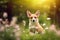 Close up of Cute Welsh corgi puppy generative AI