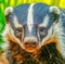 Close up of cute wet honey badger over grass, created using generative ai technology