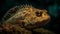 Close up of a cute yellow balloonfish in tropical saltwater reef generated by AI