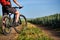 Close-up of cyclist man legs with mountain bike on the path of the green field in the countryside.