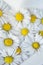 Close up of daisy flowers floating in a bowl of spa water