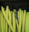 Close up of damaged green electrical wire with split casing