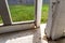 Close-up of damaged wood on exterior screen door