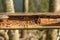 Close up of a damaged wooden railing