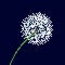Close up dandelion flower pixel art