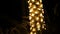 Close-up. in the dark, against the background of a trunk of a palm tree decorated with illumination, spikelets and grass