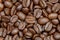 Close up of dark coffee beans background texture of roasted seeds